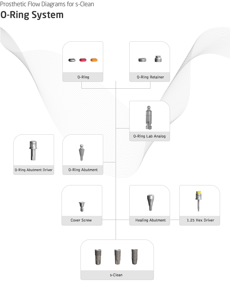 Prosthetic Flow Diagrams for s-Clean | Couple System
